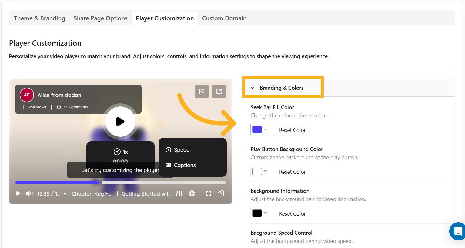Branding & Colors section