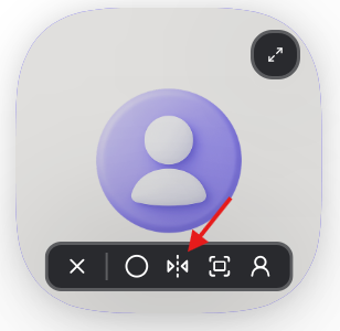 Click the Enable mirror icon