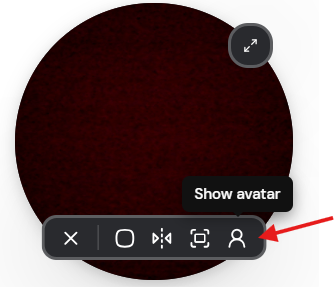 Click the show avatar icon