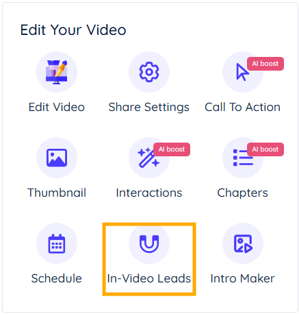 Click the In-Video Leads icon