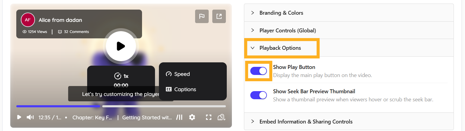 Playback Options section Playback Options section