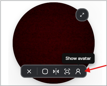 Click the show avatar icon