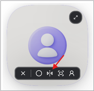 Click the Enable mirror icon