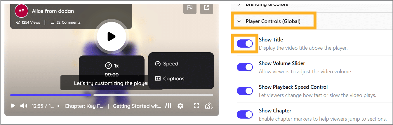 Player Controls (Global) Player Controls (Global)