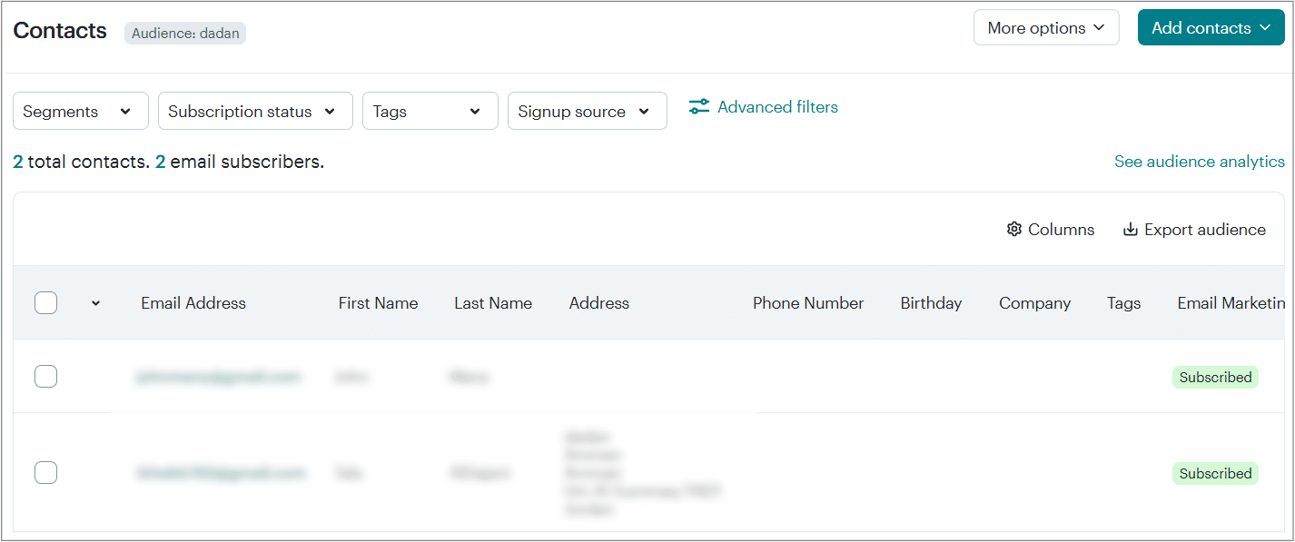 Mailchimp leads